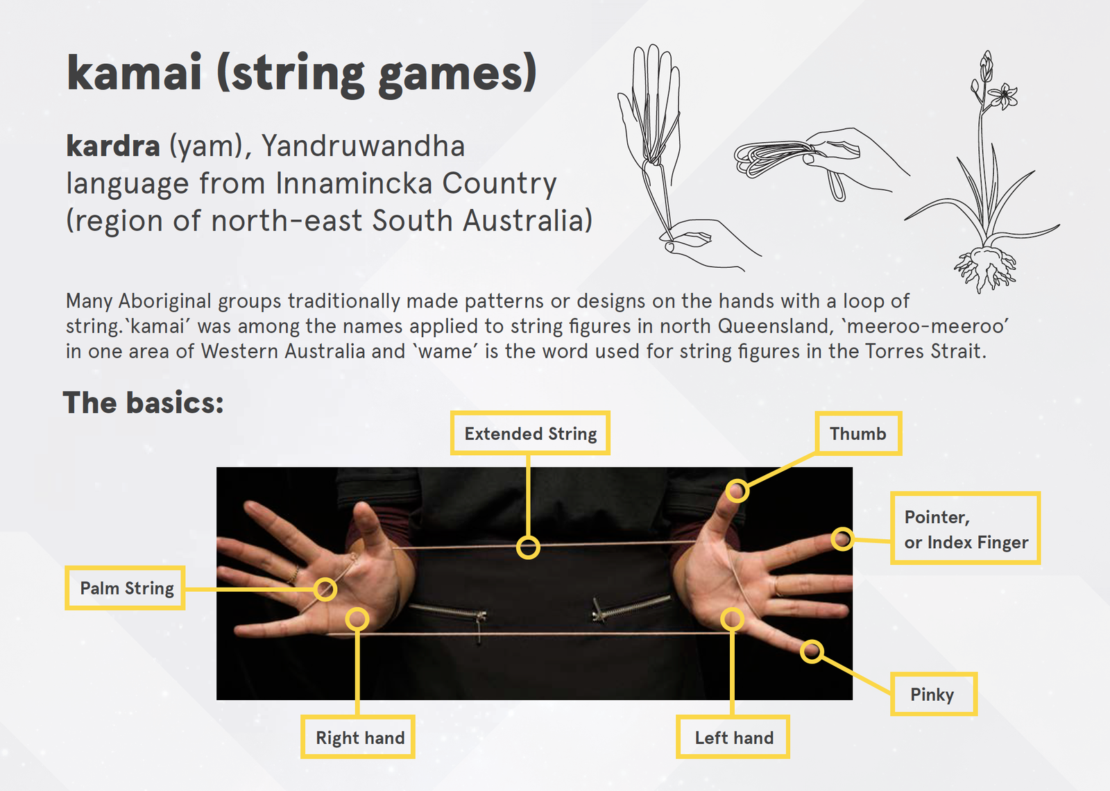 kardra (yam) string figure instructions