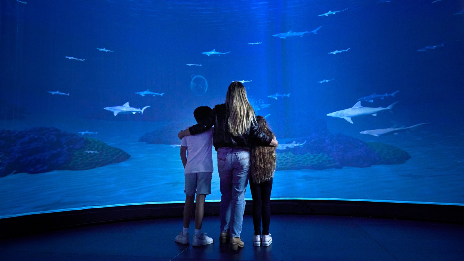 Sharks Marketing shoot 24 Sept 2022