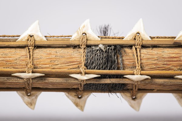 3 pronged shark tooth lacerator from Kiribati