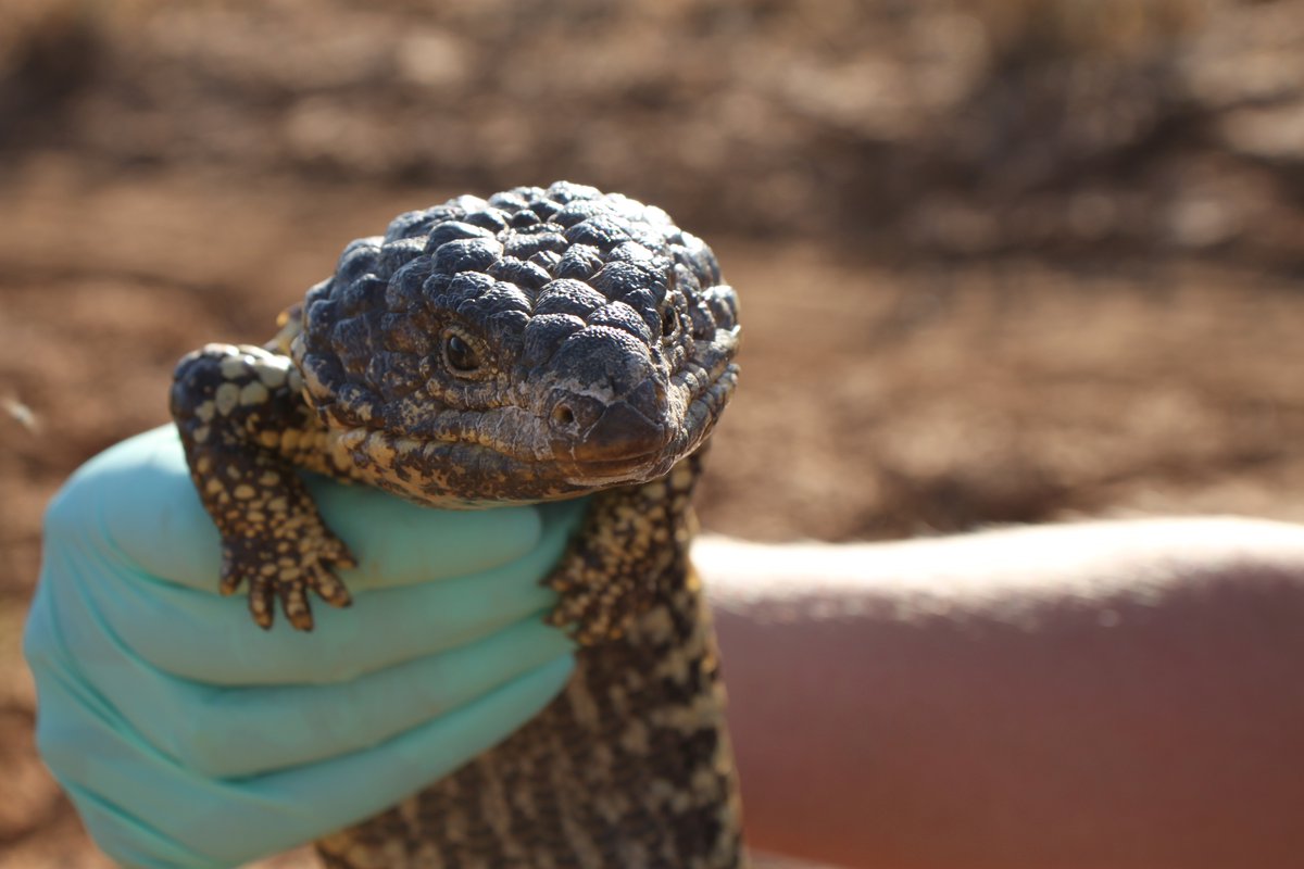 Smells like home Assessing the differences in odour profiles of
