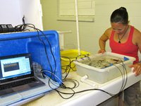 Life at Lizard: Goby garages