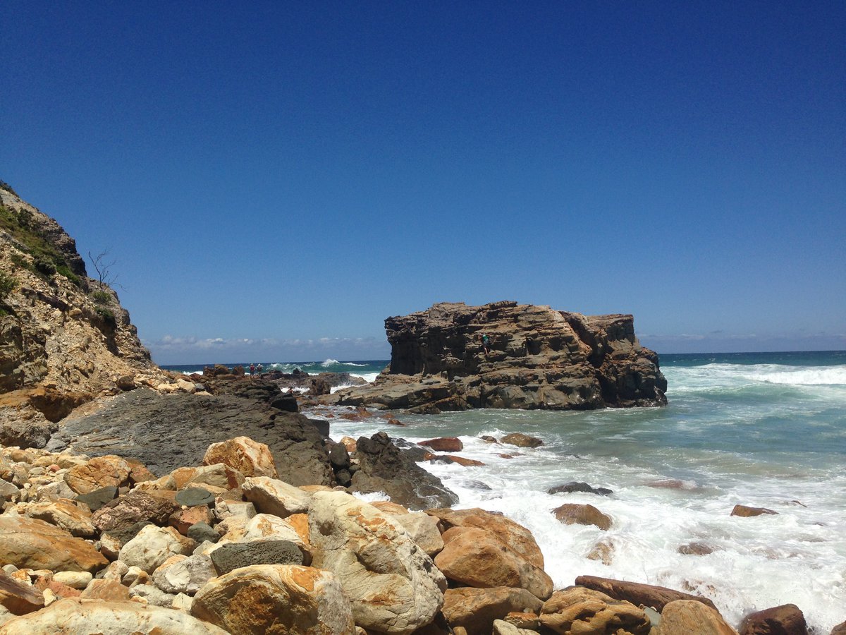Coastal Habitats The Australian Museum vrogue.co