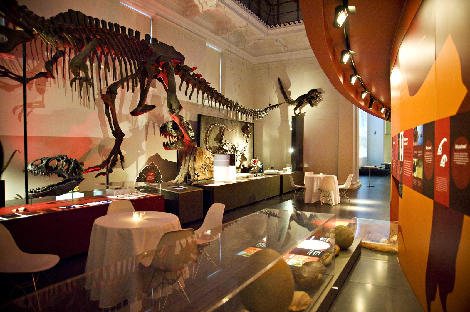 Dinosaur Gallery - functions