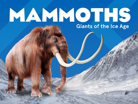 Mammoths Hero