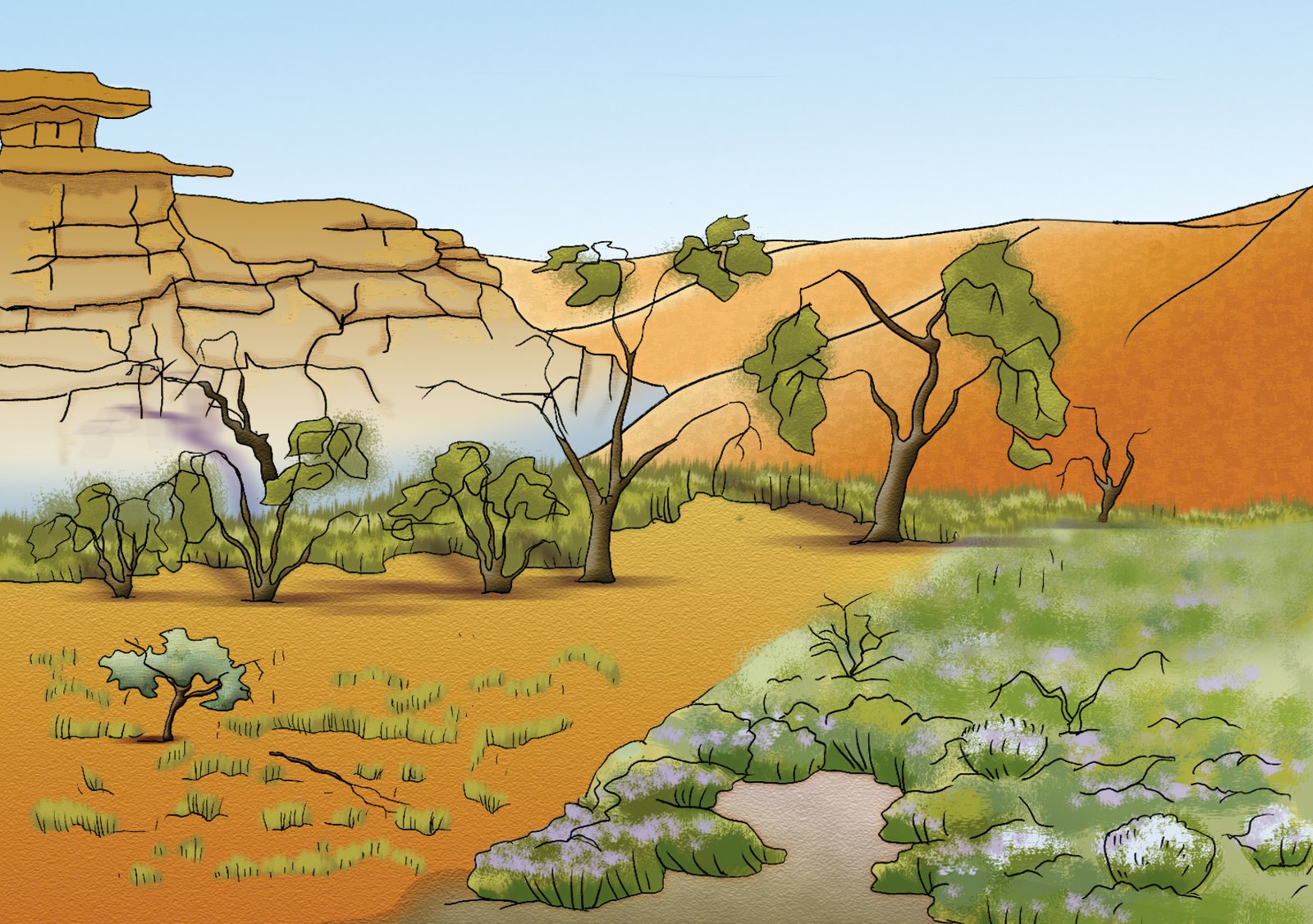 What Are Some Australian Habitats The Australian Museum