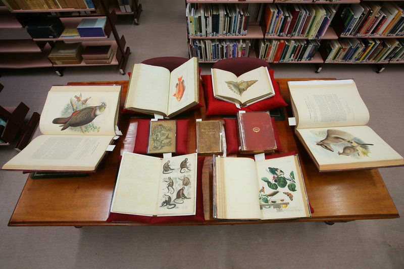 Research Library - The Australian Museum