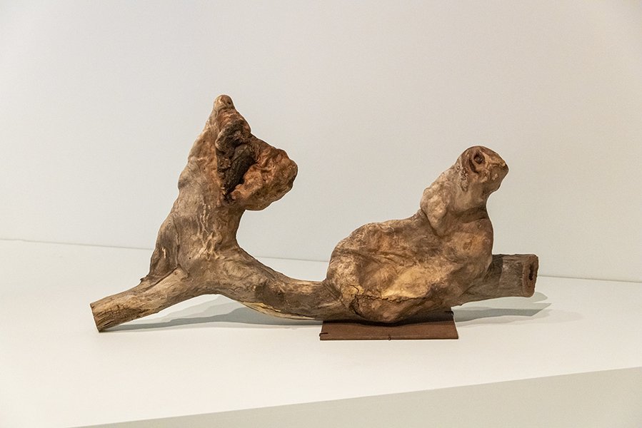 Two water dogs by Uncle Badger Bates