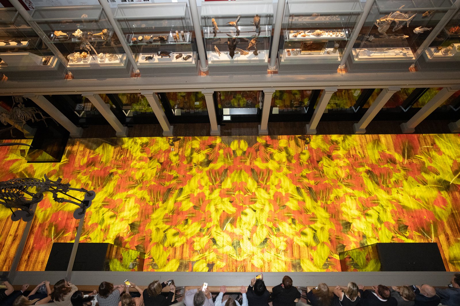 Treasures Illuminated Launch