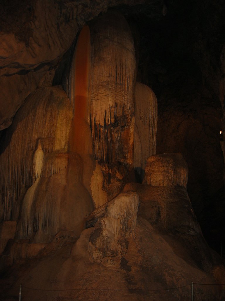 Fossils in Wellington Caves, NSW The Australian Museum