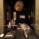 This fossilised pliosaur, known affectionately as Eric after a song by British comedy team Monty Python, swam in a vast inland sea during the Cretaceous Period, about 120–100 million years ago.