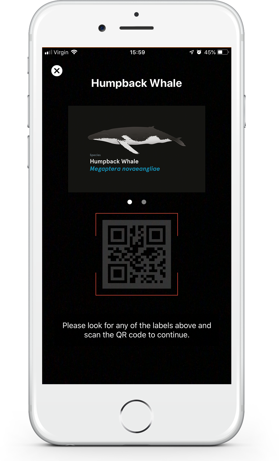 QR Codes in 2011 - The Australian Museum Blog