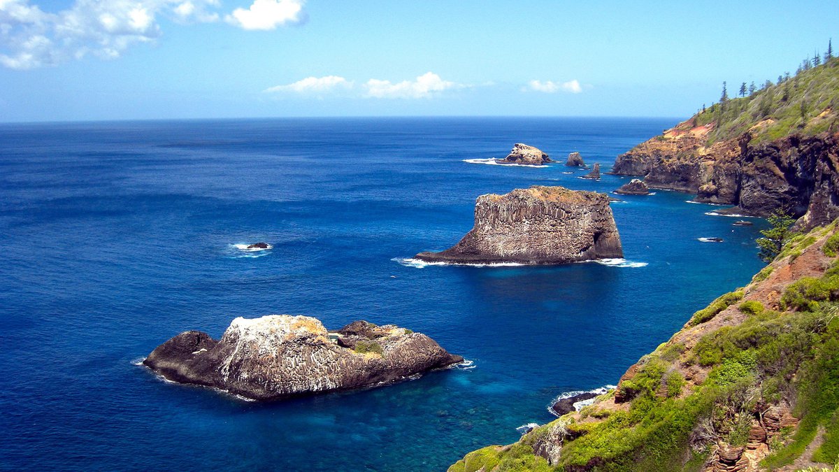 Australian Museum launches first broad scale expedition to Norfolk Island The Australian Museum