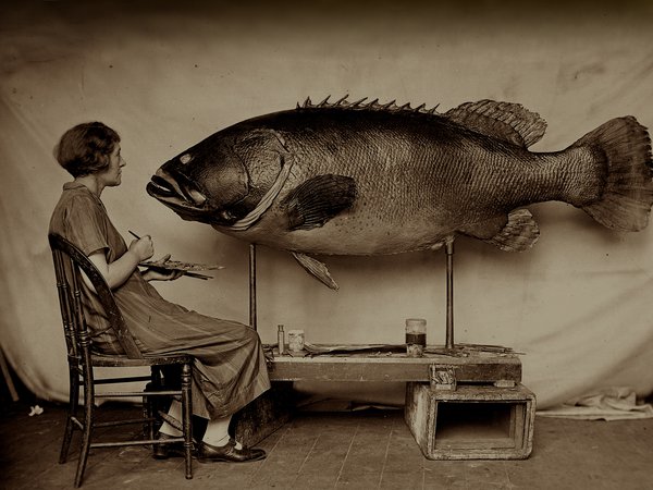 Historic photo of fish conservation