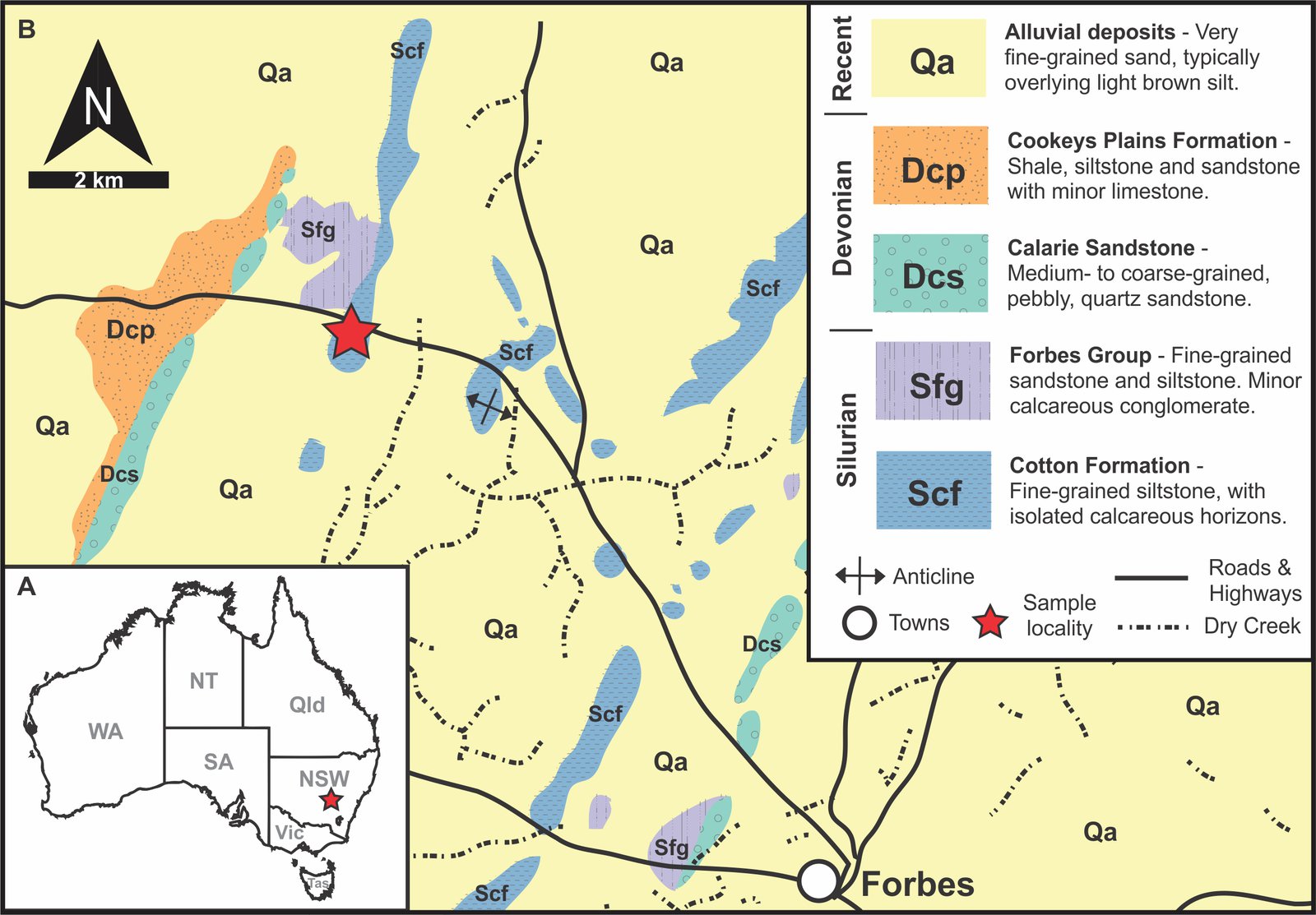 Geological, stratigraphic, and geographical information for specimen locations and the Cotton Formation.