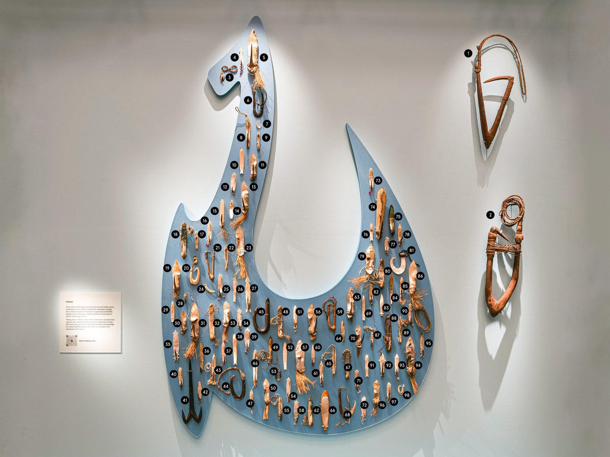 Pasifika fish hooks The Australian Museum