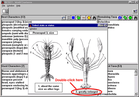 Crustacea.net Step 7 window 1