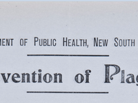 Prevention of Plague. Instructions to Householders heading