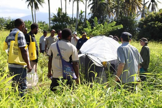 Malaise trap demonstration in Papua New Guinea