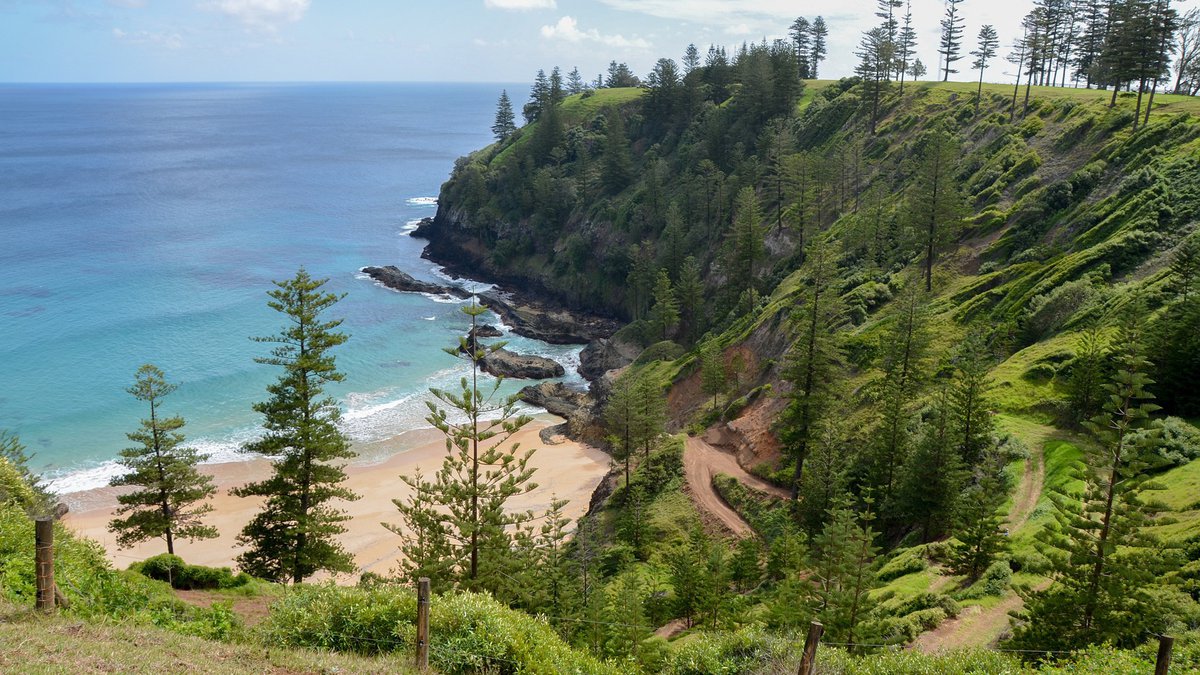 Australian Museum launches first broad scale expedition to Norfolk Island The Australian Museum