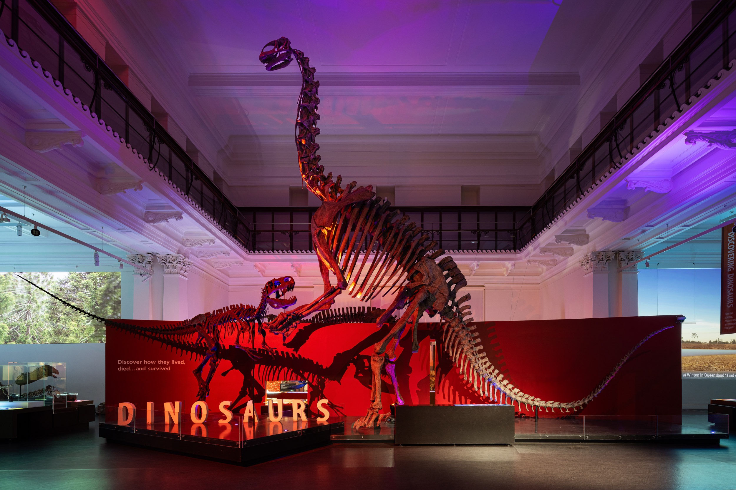 Australian Museum interior