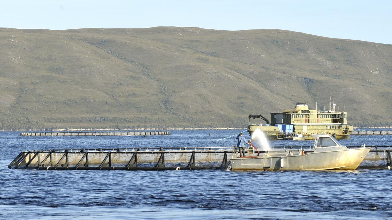 A salmon farm on Macquarie Harbour, Tasmania