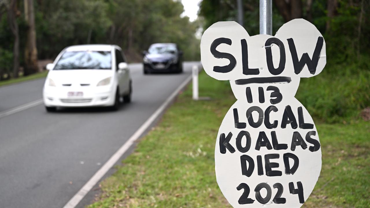 A sign in the shape of a koala 