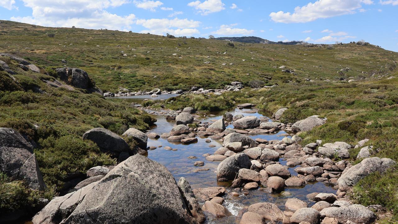 A small stream in Kosciuszko National Park