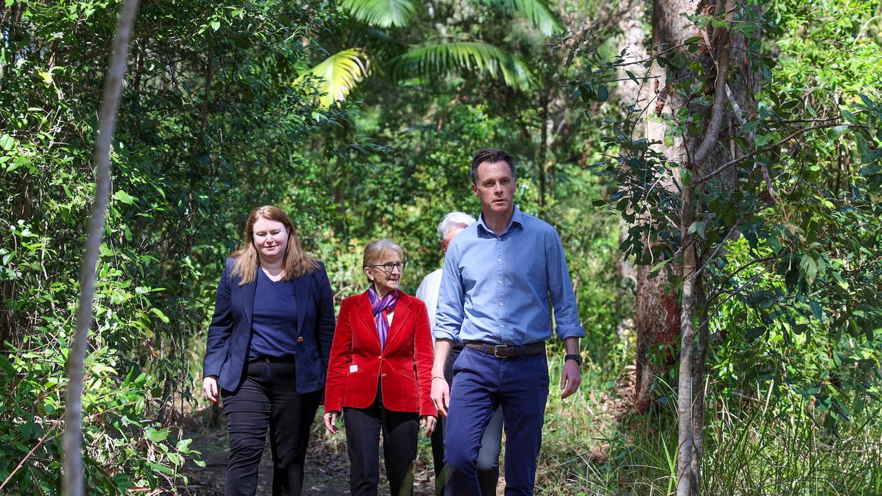 Chris Minns during the Great Koala National Park announcement 