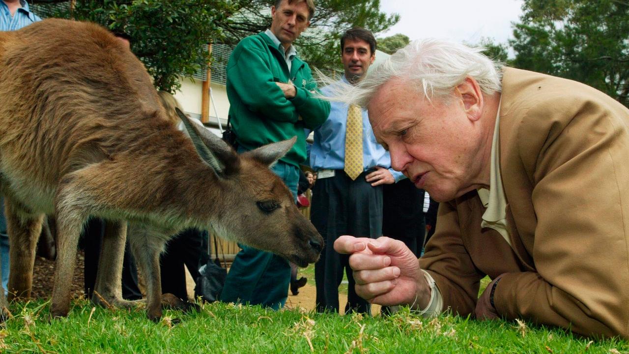 David Attenborough during his visit to Taronga Zoo in Sydney in 2003