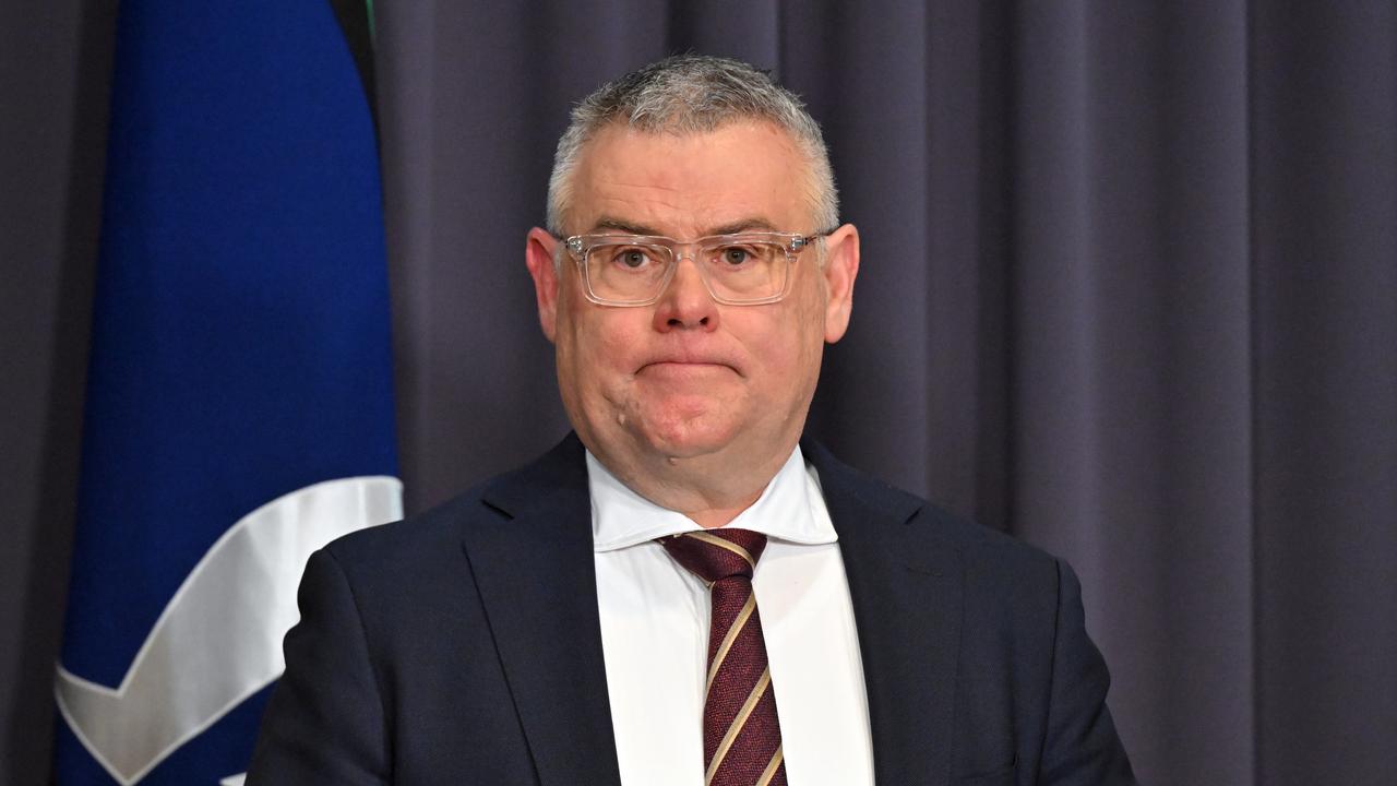 Environment Minister Murray Watt (file image)