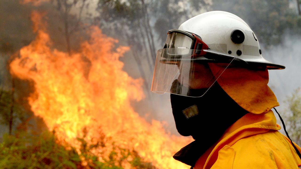 Firefighters back-burn in Colo Heights in Sydney
