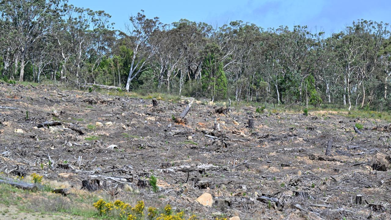Land clearing on a property (file image)