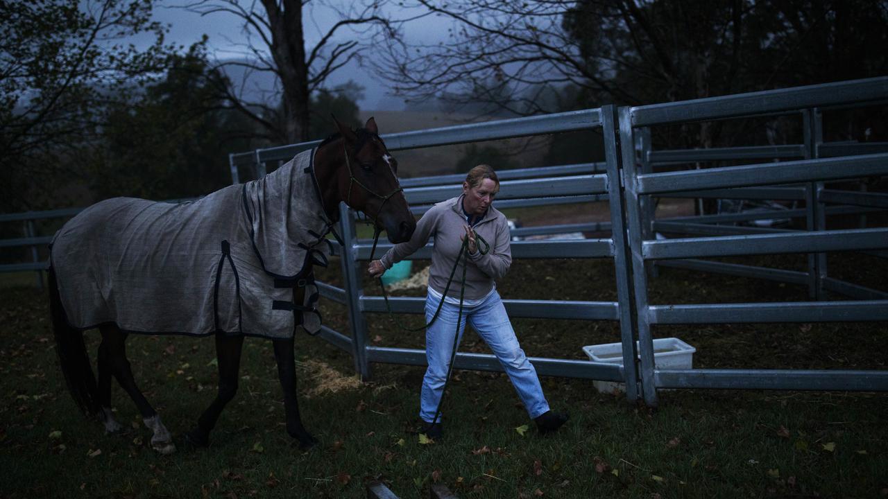 Moving a horse at a community relief centre during a bushfire (file)