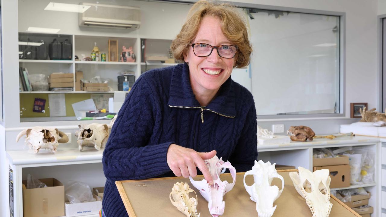 Professor Vera Weisbecker