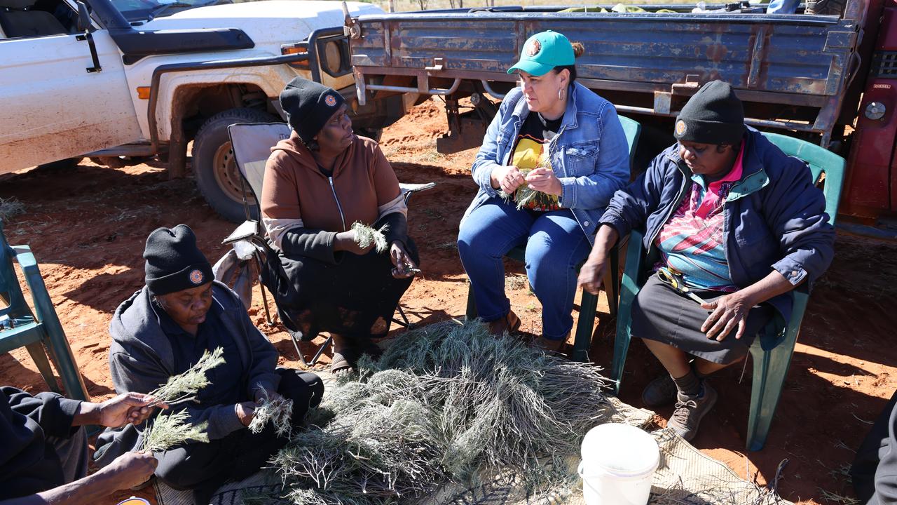 Tradition Owners prepare bush medicine at Uluperte homeland.