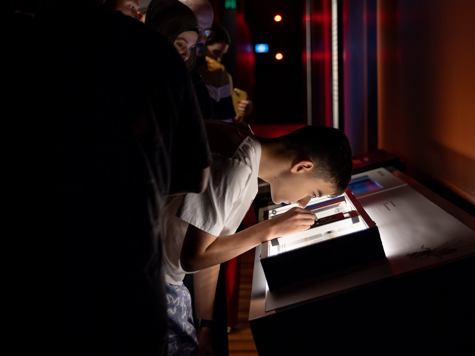 Bloodsuckers: Nature's Vampires exhibition at the Australian Museum.