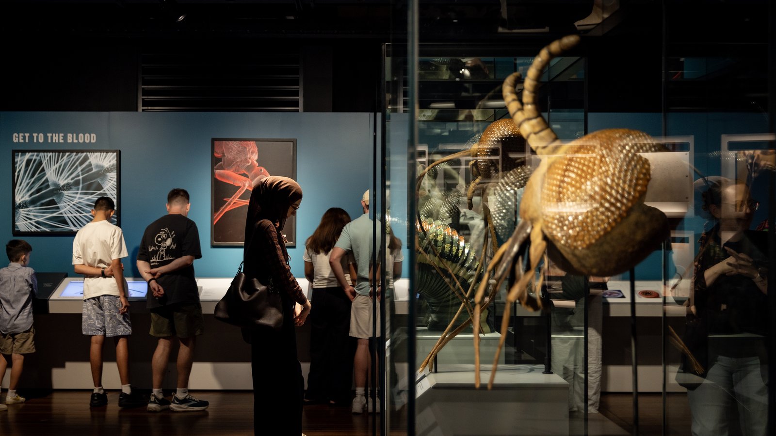 Bloodsuckers: Nature's Vampires exhibition at the Australian Museum.