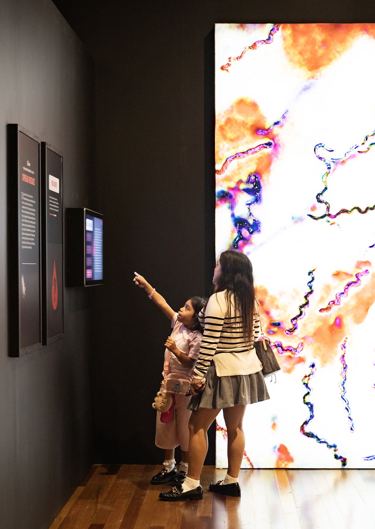 Bloodsuckers: Nature's Vampires exhibition at the Australian Museum.