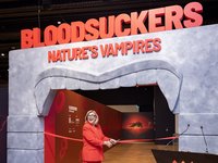 Director and CEO of the Australian Museum, Ms Kim McKay AO opens Bloodsuckers: Nature's Vampires exhibition