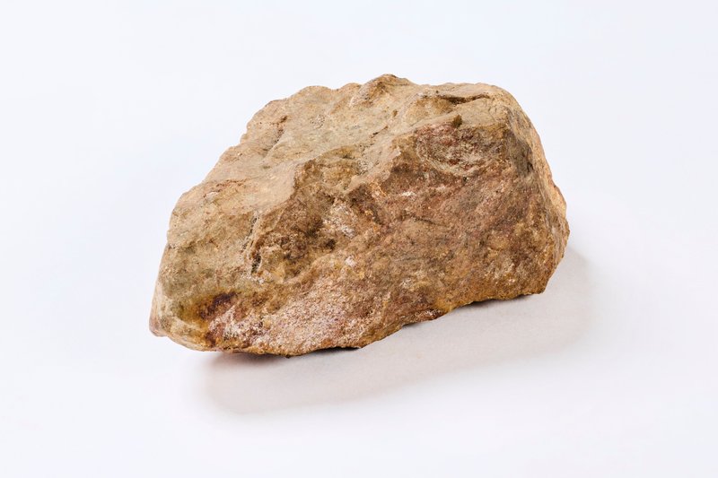 Stone oyster picker with an irregular surface, pale brown in colour from Gulf Country, Australia.
