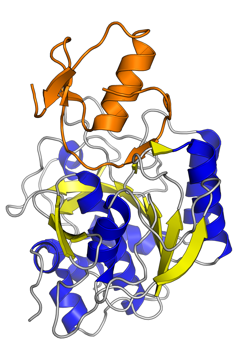 A protease inhibitor domain
