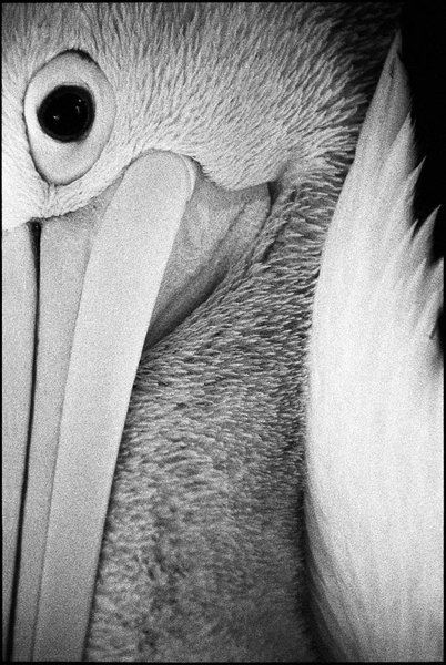 2005 Australian Geographic Nature Photographer of the Year Winner Kristy Knight