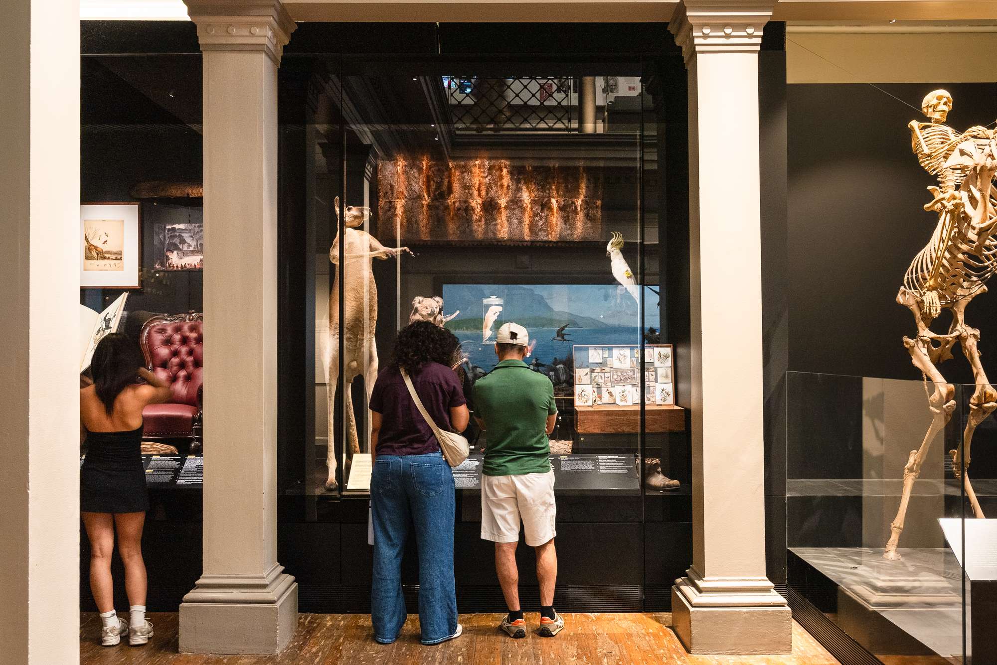 Two visitors examine a display cabinet in the Australian Museum's Westpac Long Gallery.