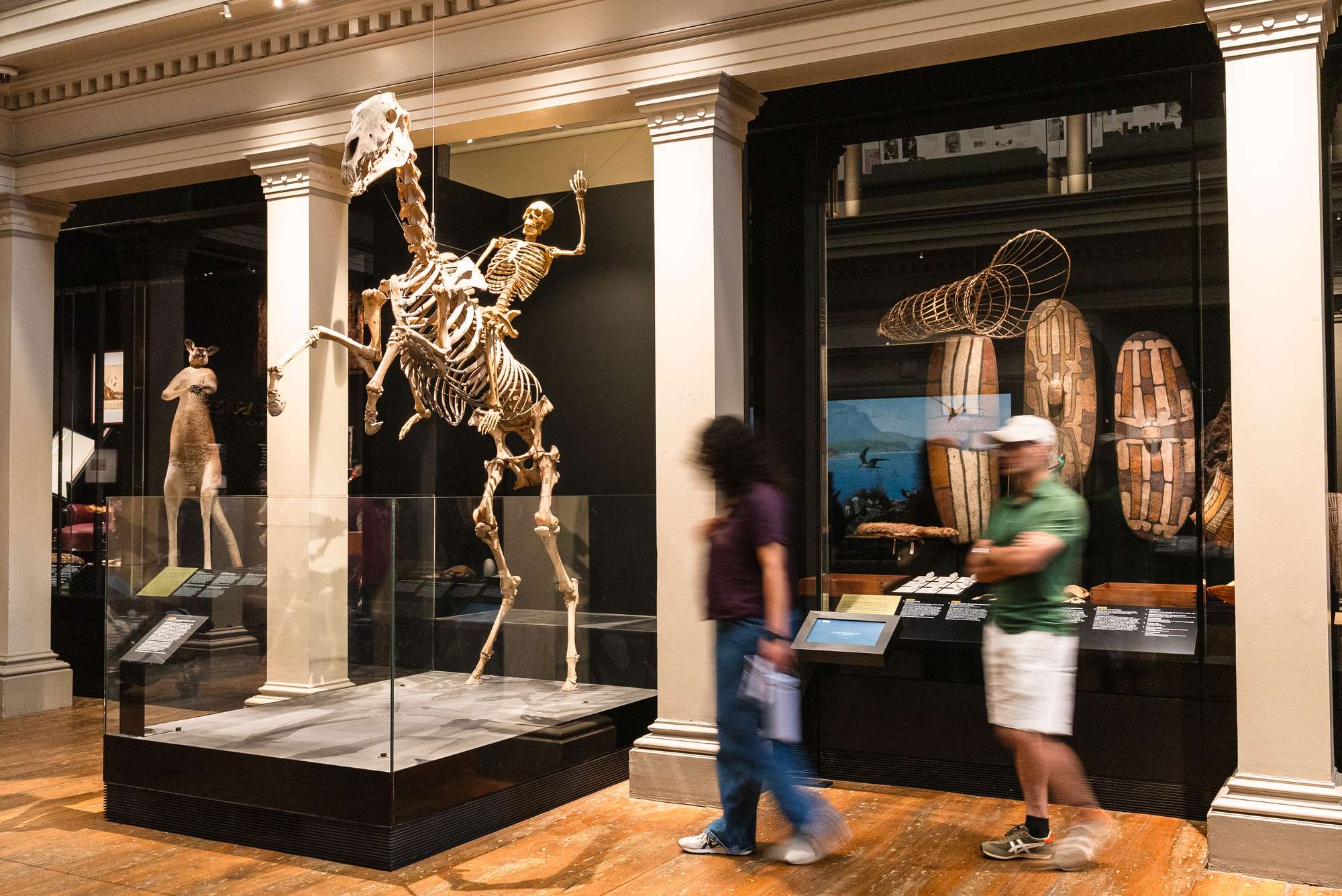 Two visitors walk past a mounted horse and rider skeleton displayed in a museum gallery.