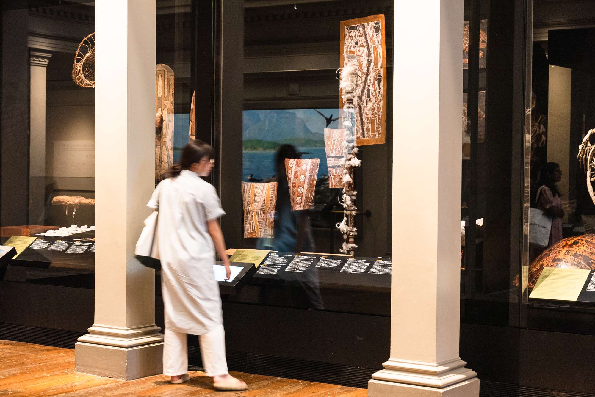 Visitor explore display cabinets in the Australian Museum's Westpac Long Gallery.