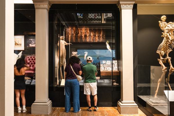 200 Treasures in the Westpac Long Gallery