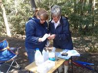 Streamwatch volunteers monitoring water quality