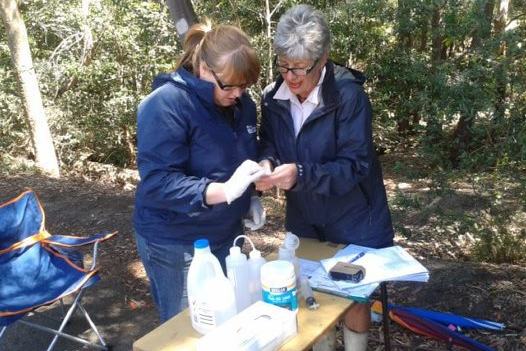 Streamwatch volunteers monitoring water quality