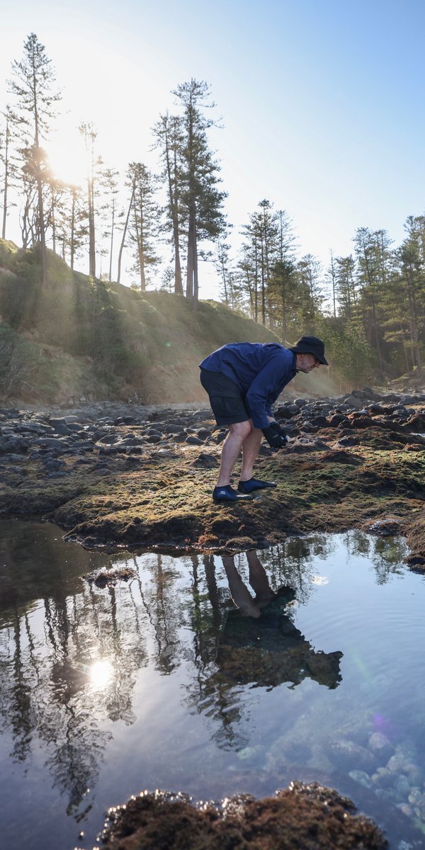 Norfolk Island Expedition 2025