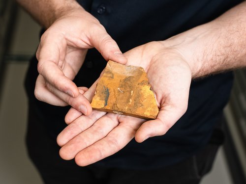 Dr Matt McCurry with Midge Fossil from the Australian Museum Palaeontology Collection